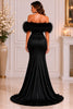 Black Feather Trim Evening Gown