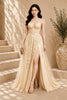 Champagne Lace Applique High Slit Tulle Evening Gown