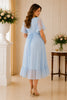 Light Blue Flutter Sleeve Swiss Dot Midi Dress