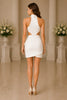 Selene Cutout Halter Mini Dress