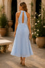 Sky Grace Pleated Halter Midi Dress