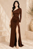 Brown One Shoulder Long Sleeve Evening Gown