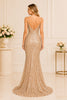 Champagne Sequin Mermaid Gown