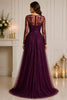 Plum Embroidered Tulle Evening Gown