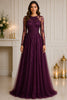 Plum Embroidered Tulle Evening Gown