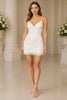 Rosabelle Lace Mini Dress