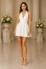 Seralyn Halter Skater Mini Dress