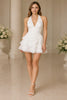Valerisse Halter Tiered Mini Dress